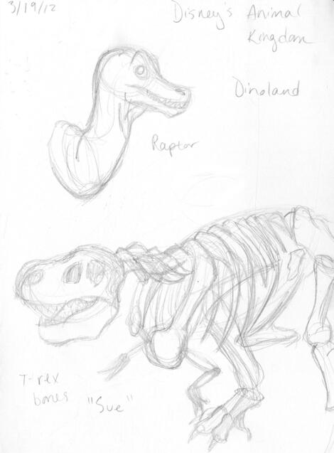 Animal Kingdom Studies 04 Animal Kingdom Studies 04