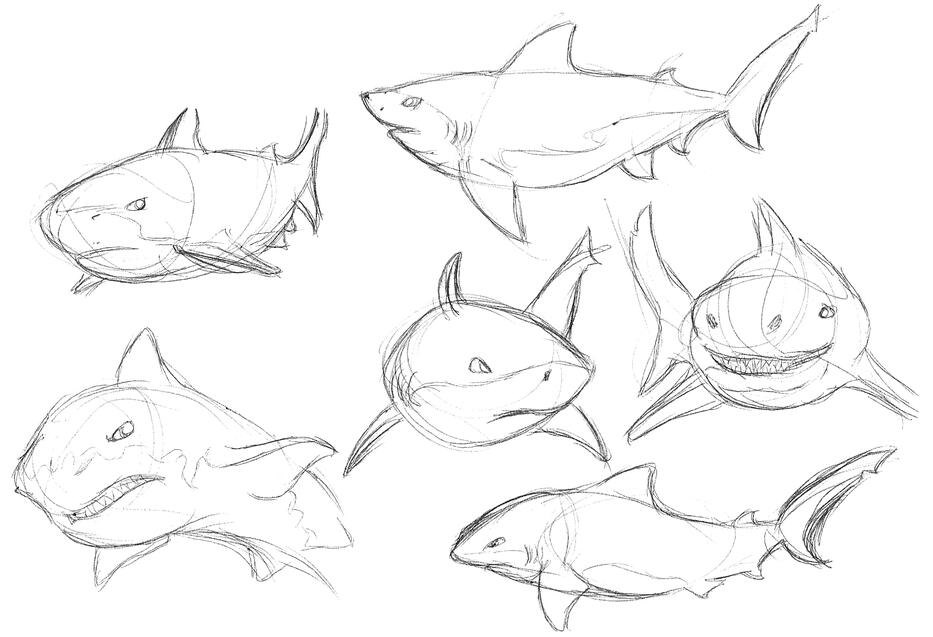 Bull Shark Study 01 Bull Shark Study 01