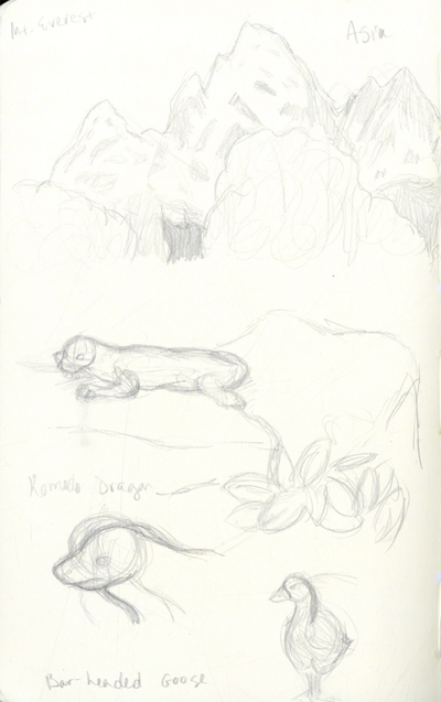 Animal Kingdom Studies 01
