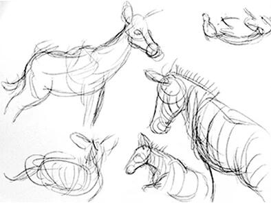 Jacksonville Zoo Studies 04